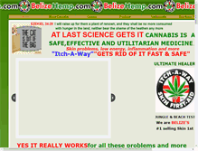 Tablet Screenshot of belizehemp.com